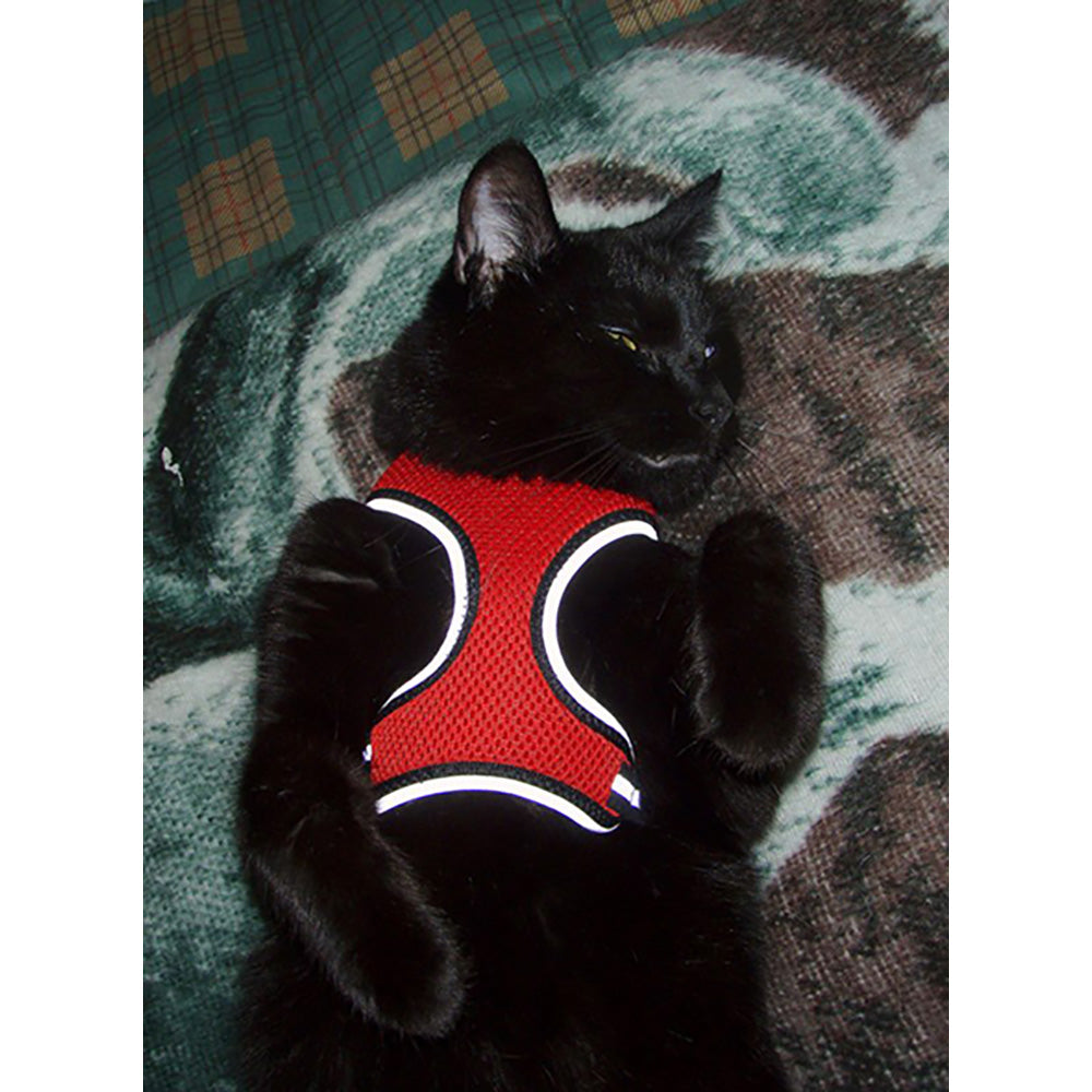 HDA Mini harness — 3